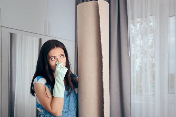 Woman holding nose, reacting to smell from a large rolled-up carpet indoors near a window.