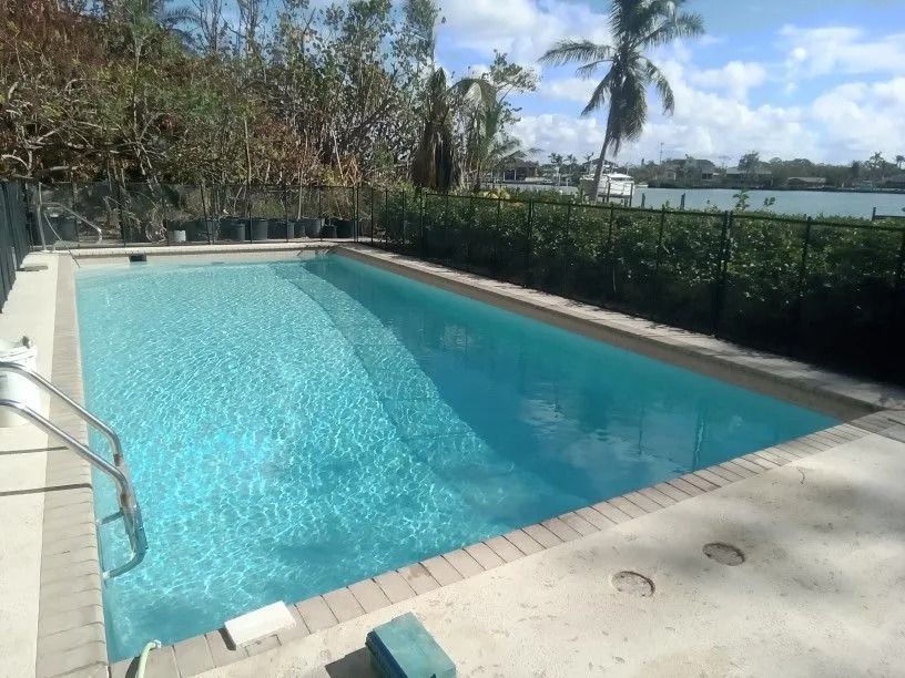Rectangular swimming pool with steps, surrounded by a concrete deck and a black fence, with vegetation in the background.
