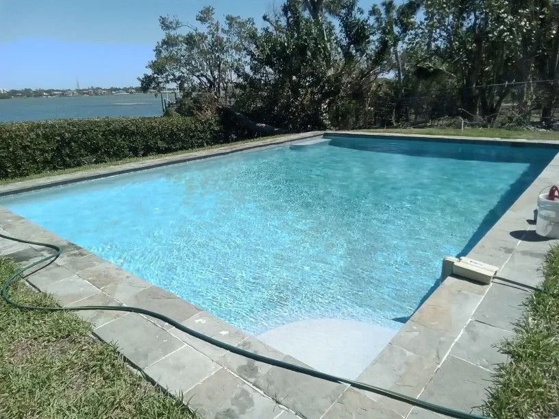 Rectangular swimming pool with blue water, stone border, surrounded by grass and shrubs, sunny outdoors.