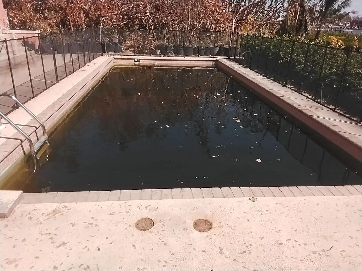 A rectangular, algae-filled pool with a ladder. The pool is surrounded by a concrete deck and a low brick wall.