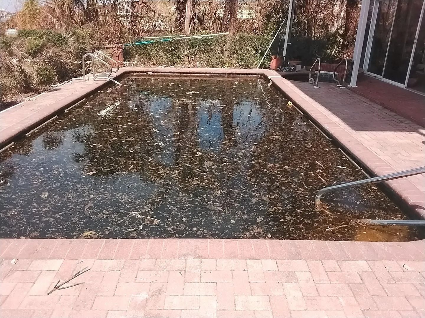 A neglected rectangular pool filled with dark, murky water and debris, surrounded by brick paving.