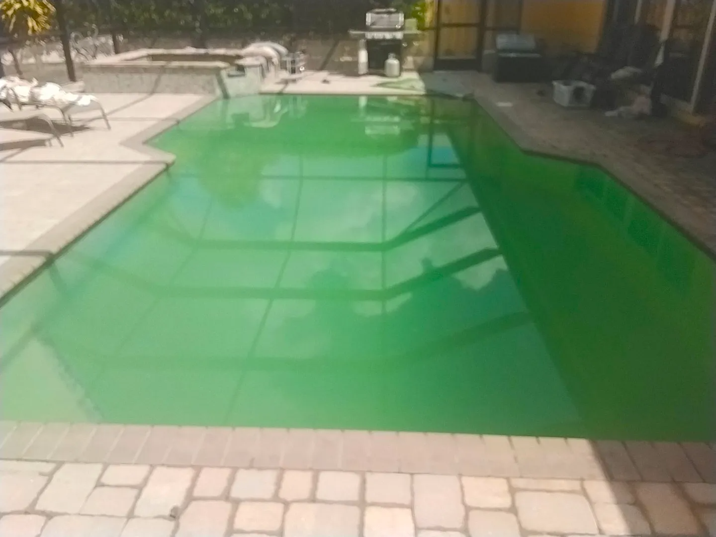 Green algae-filled swimming pool surrounded by a brick patio, sun loungers, and grill.