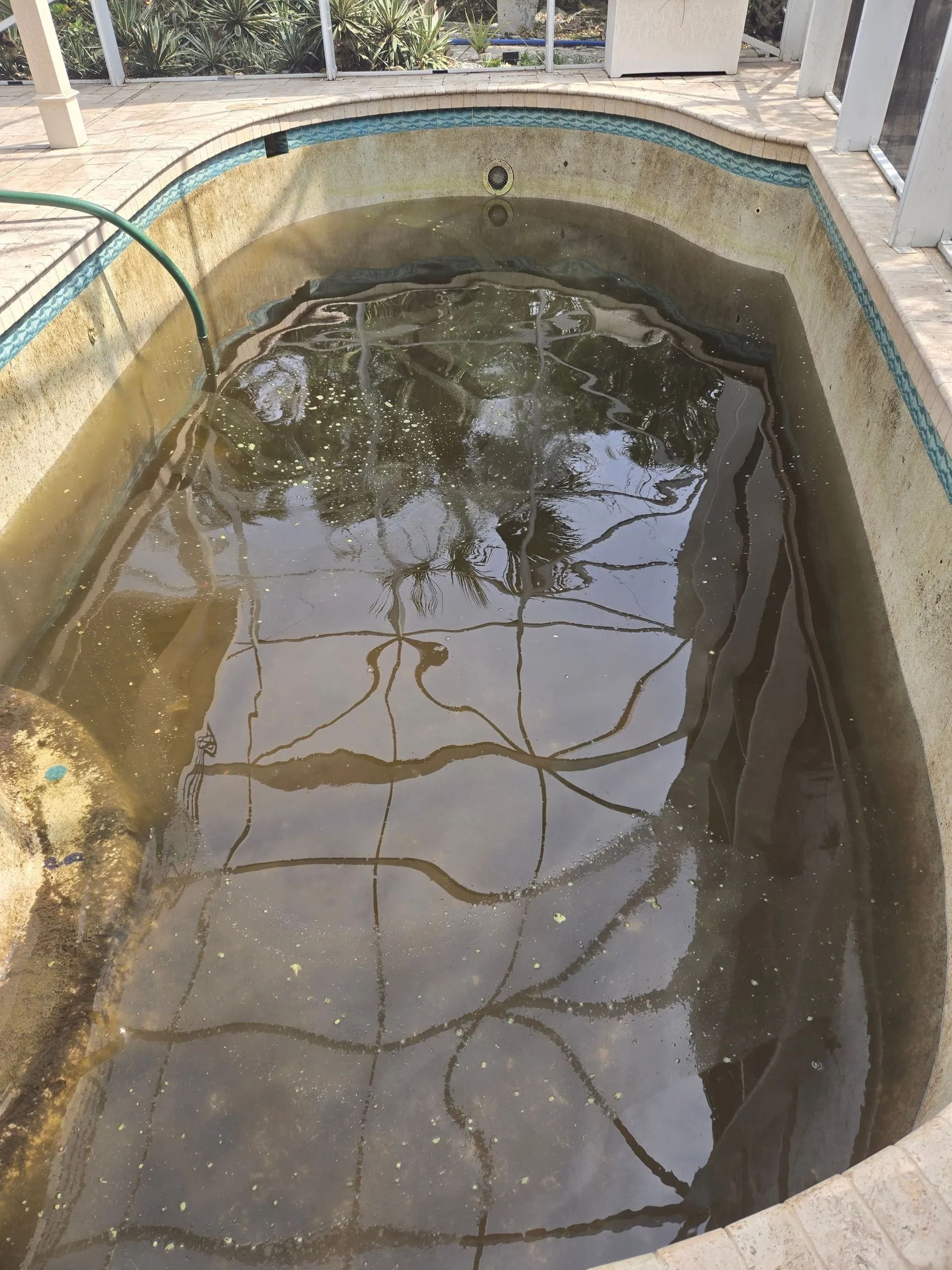 Dirty, algae-filled swimming pool with a tiled bottom and a green hose. The pool is outdoors in a yard.