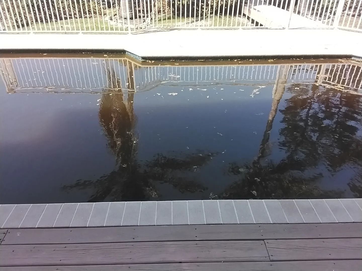 Dark pool of water reflecting a white fence and trees, edged with dark decking.