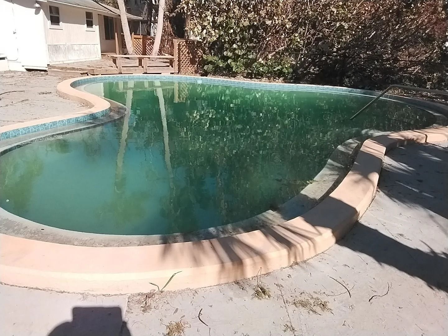 Green, algae-filled swimming pool outdoors, with tan concrete border and surrounding pavement.