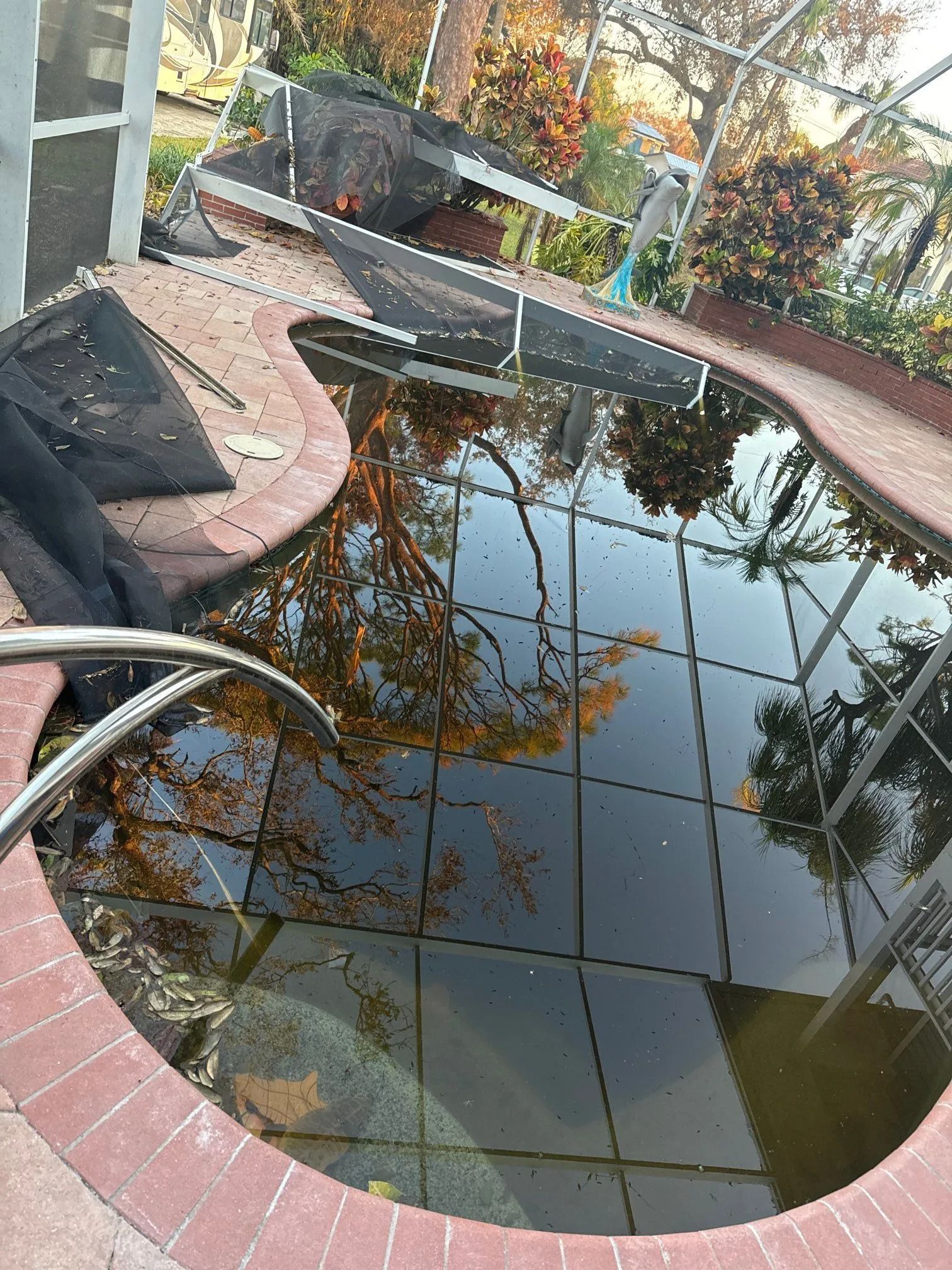 Dirty, algae-filled swimming pool with brick coping and screened enclosure.