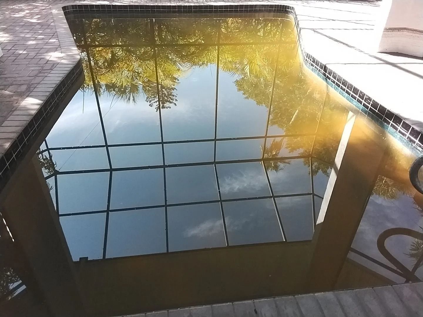 A murky rectangular pool with the reflection of trees and a grid-like structure.