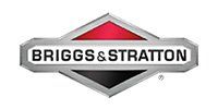 Briggs & Strattion
