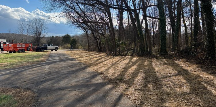 A truck is parked on the side of a road next to a forest.
