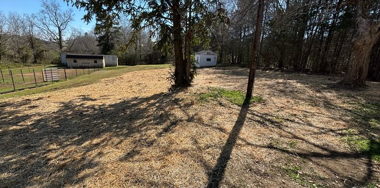 A dirt road leading to a house in the woods.