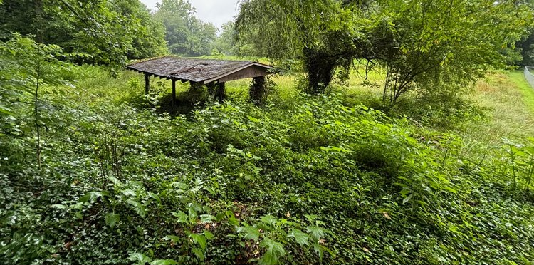 There is a shed in the middle of a field surrounded by trees.