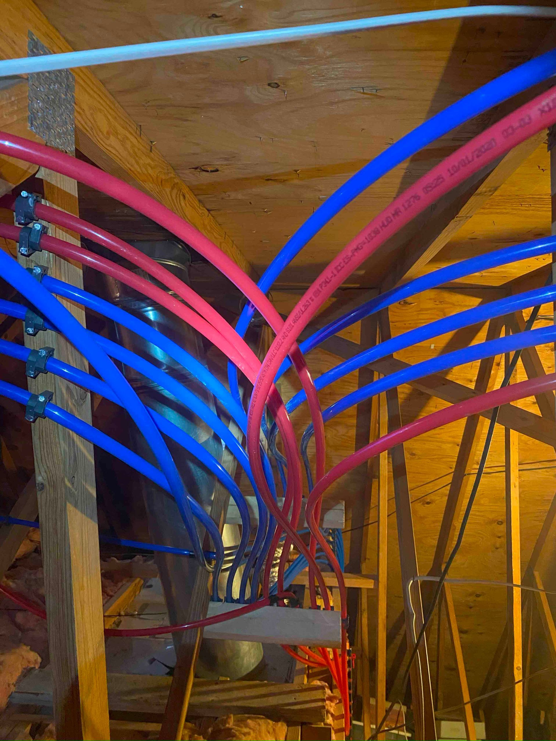 A bunch of red and blue pipes are hanging from the ceiling