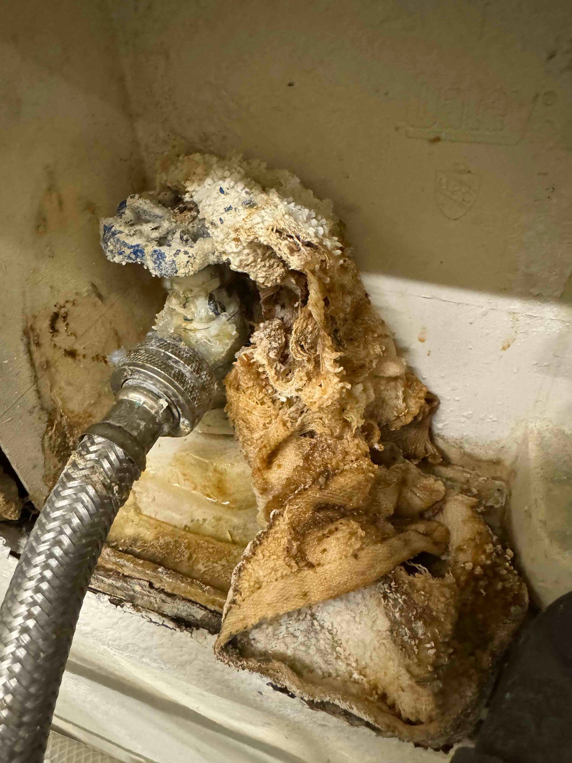 A close up of a hose with a piece of foam coming out of it.