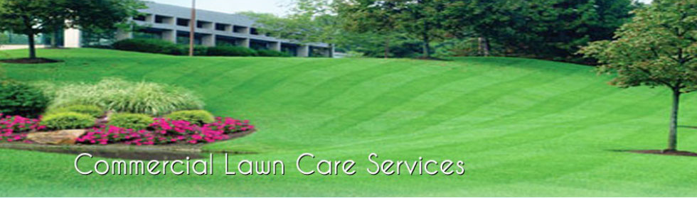 Commercial Lawn Care Services