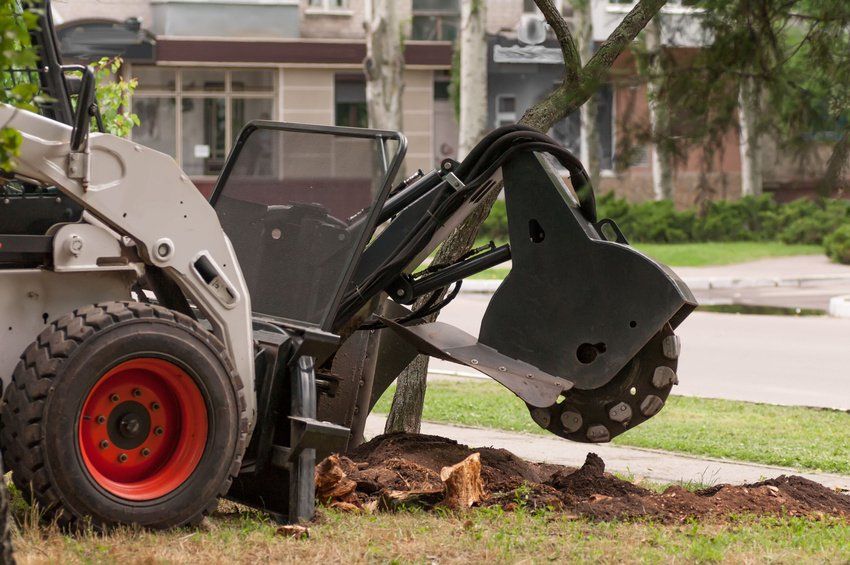 Stump Grinding