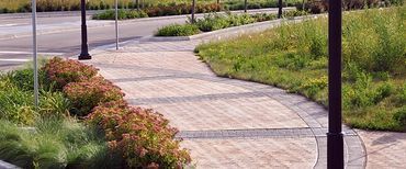 A brick walkway surrounded by grass and bushes leading to a parking lot.