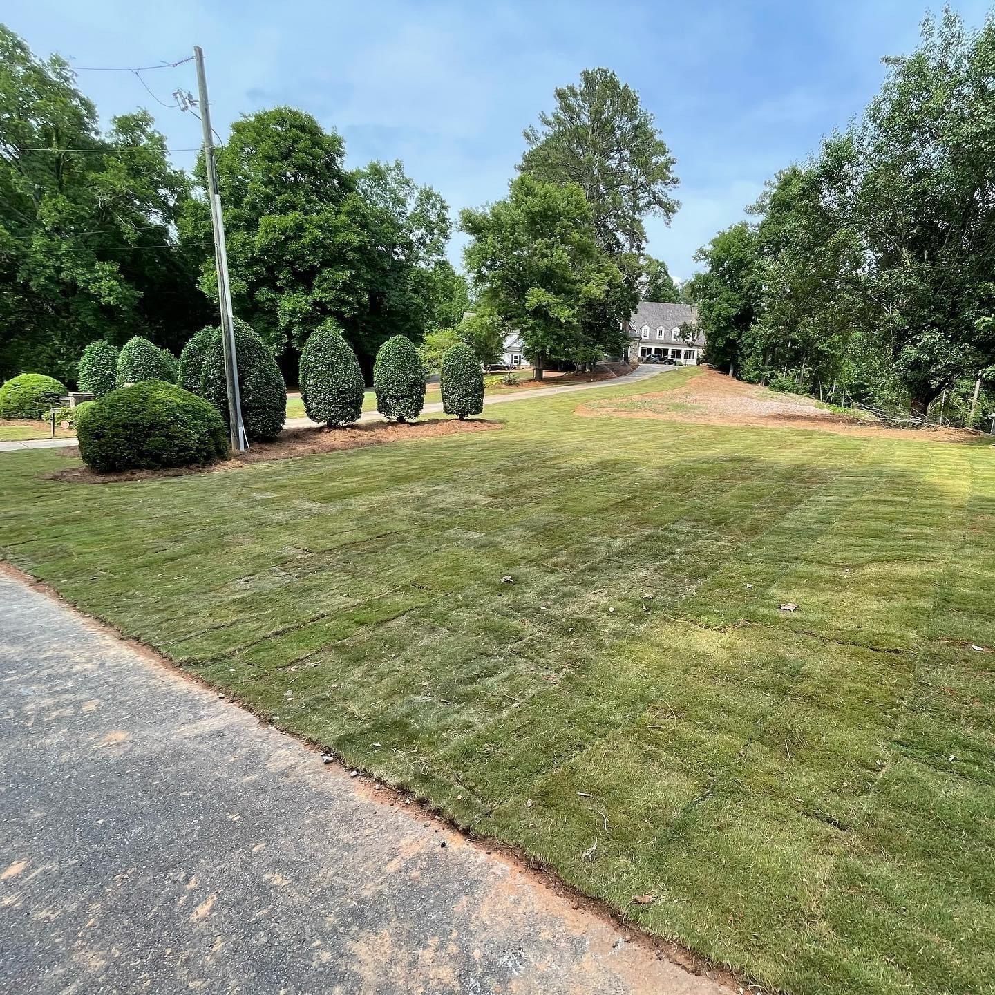 Newly sodded lawn with trimmed shrubs in front of a house, under a blue sky.