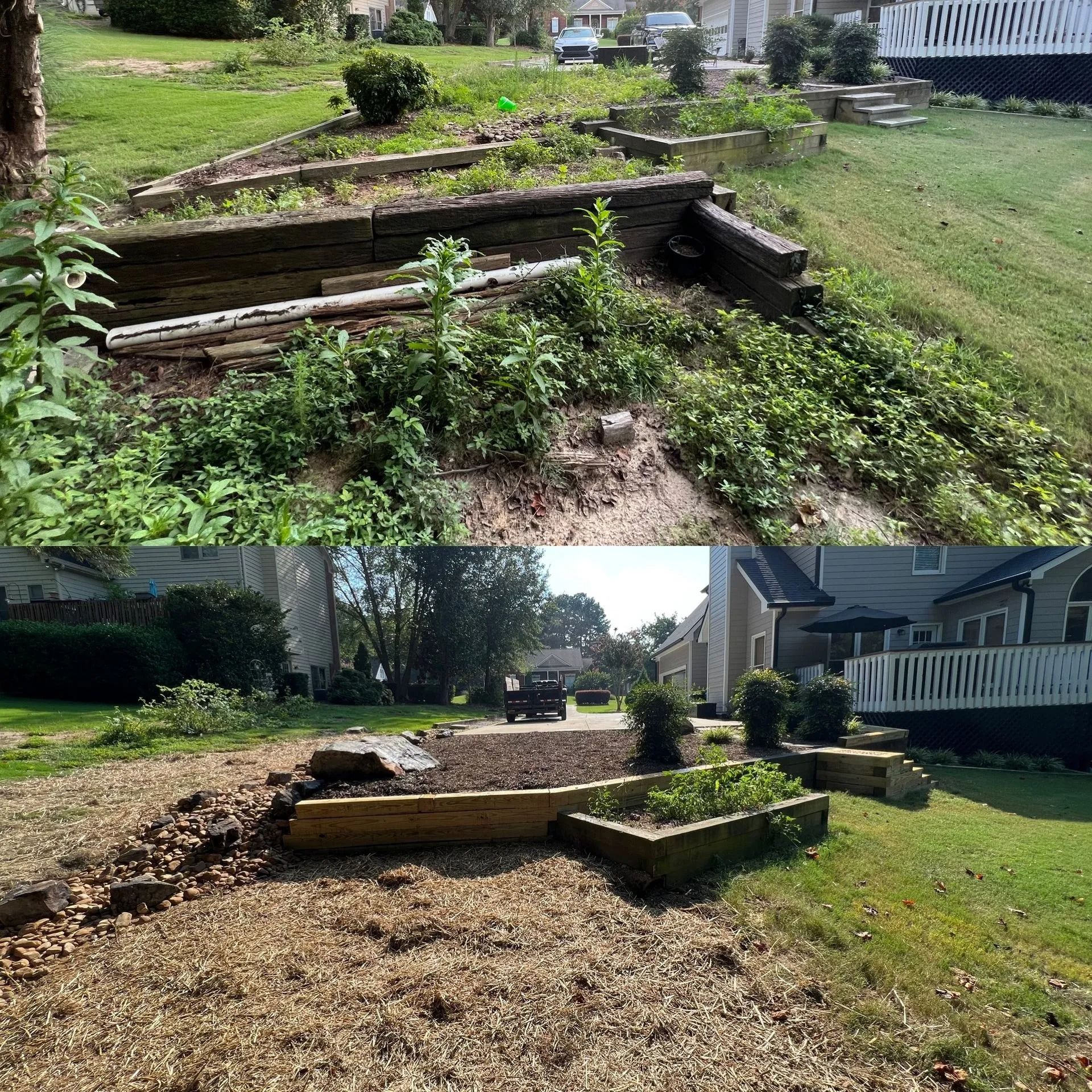 Before and after view of a garden bed overhaul. Overgrown, then raked and tidied with new mulch.