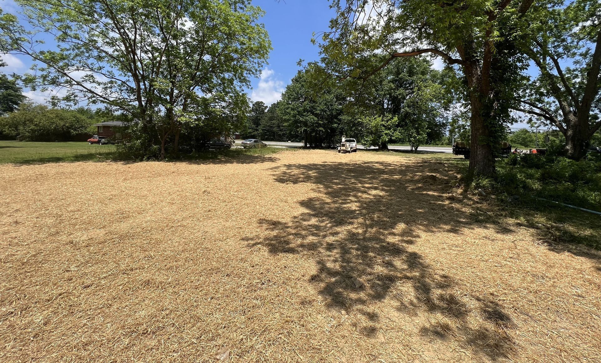 Gravel-covered area with trees casting shadows. Green grass and more trees in the distance under a blue sky.