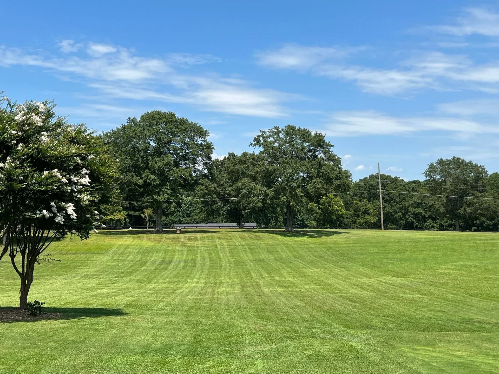 Green lawn and trees under a blue sky with some clouds.
