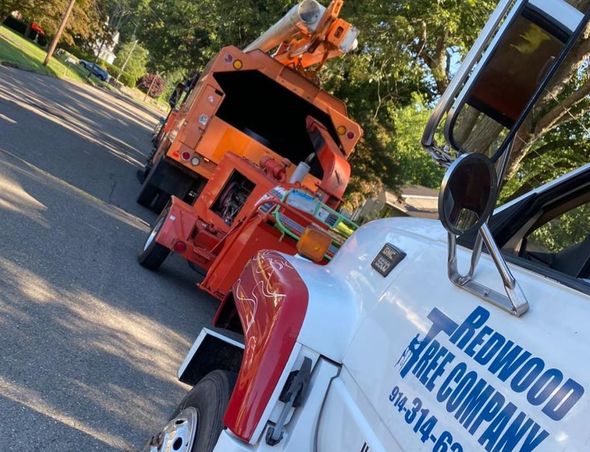White and red Redwood Tree Company truck with orange wood chipper on residential street.