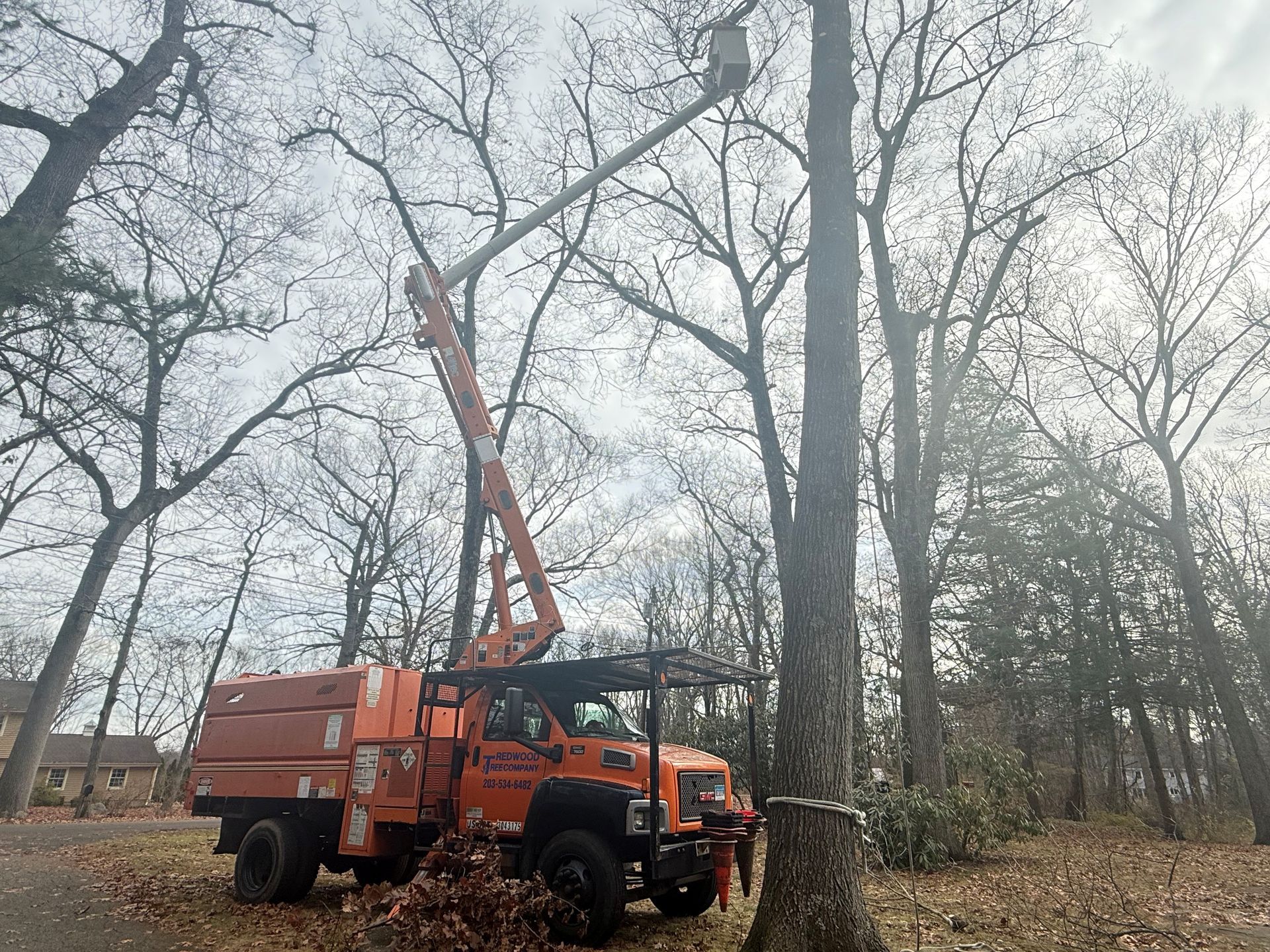 Orange tree trimming truck with extended arm reaching tree, cloudy day.