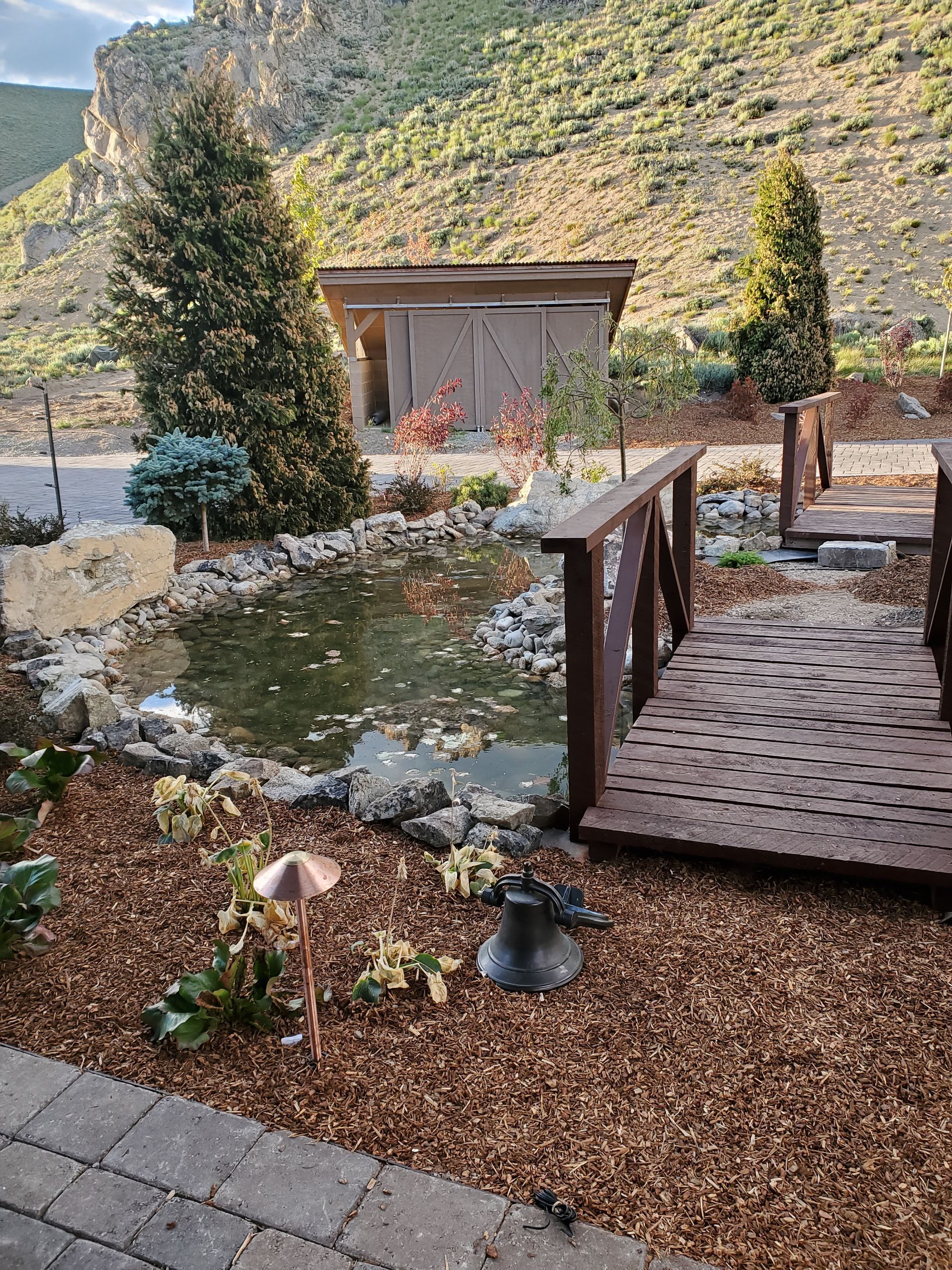 A wooden bridge over a pond in a garden with a shed in the background.