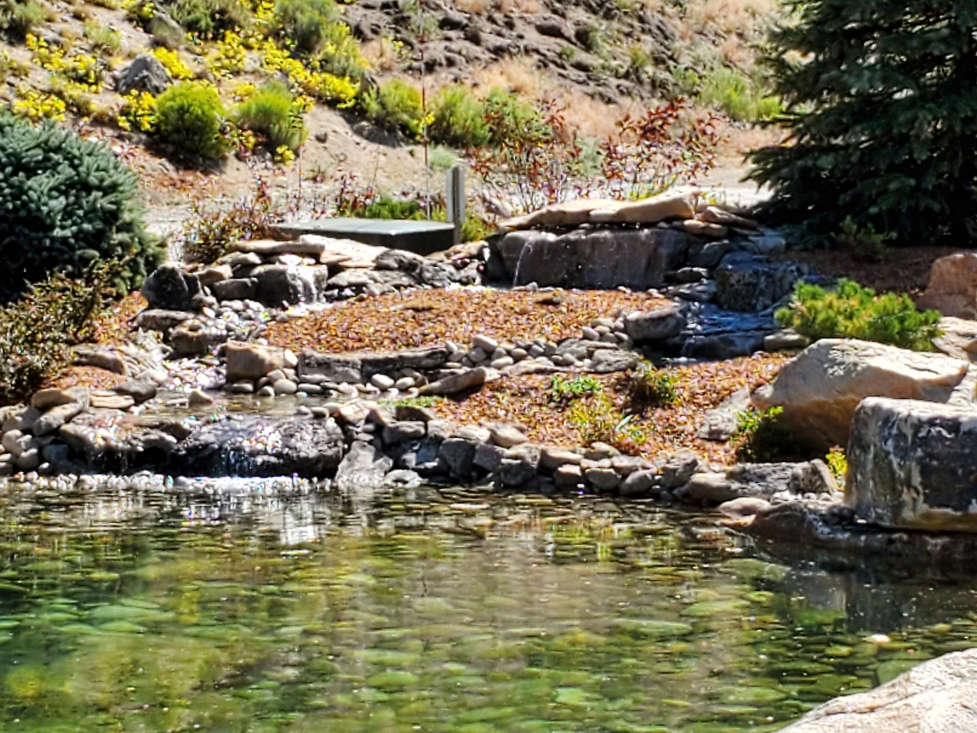 A pond surrounded by rocks and trees with a waterfall in the background