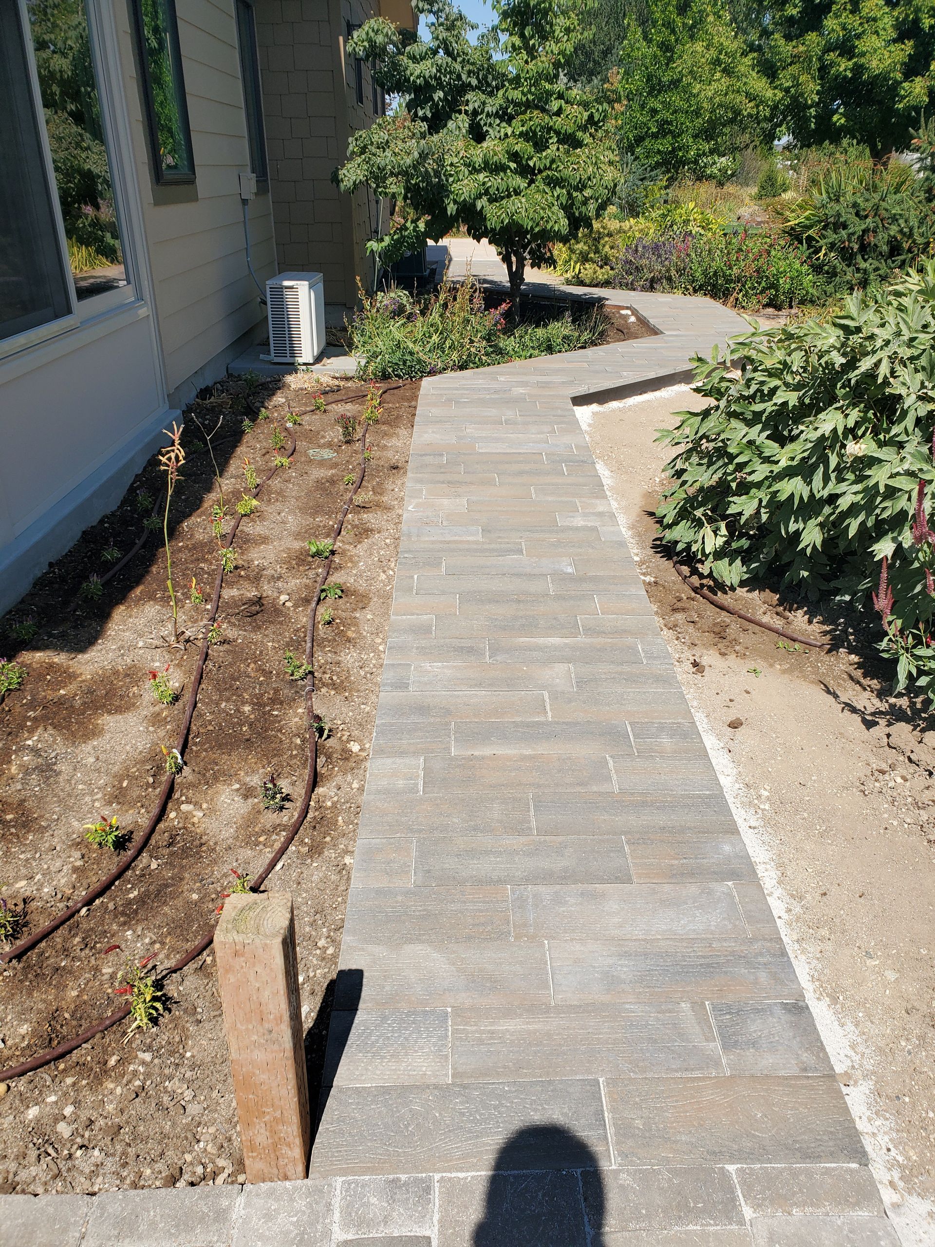 A stone walkway leading to a house in a garden.