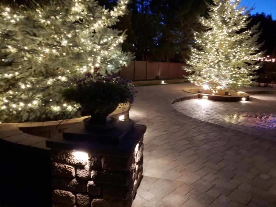 A patio with trees decorated with christmas lights at night