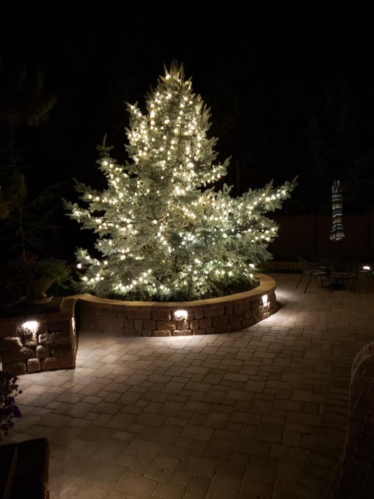 A large christmas tree is lit up at night on a patio.
