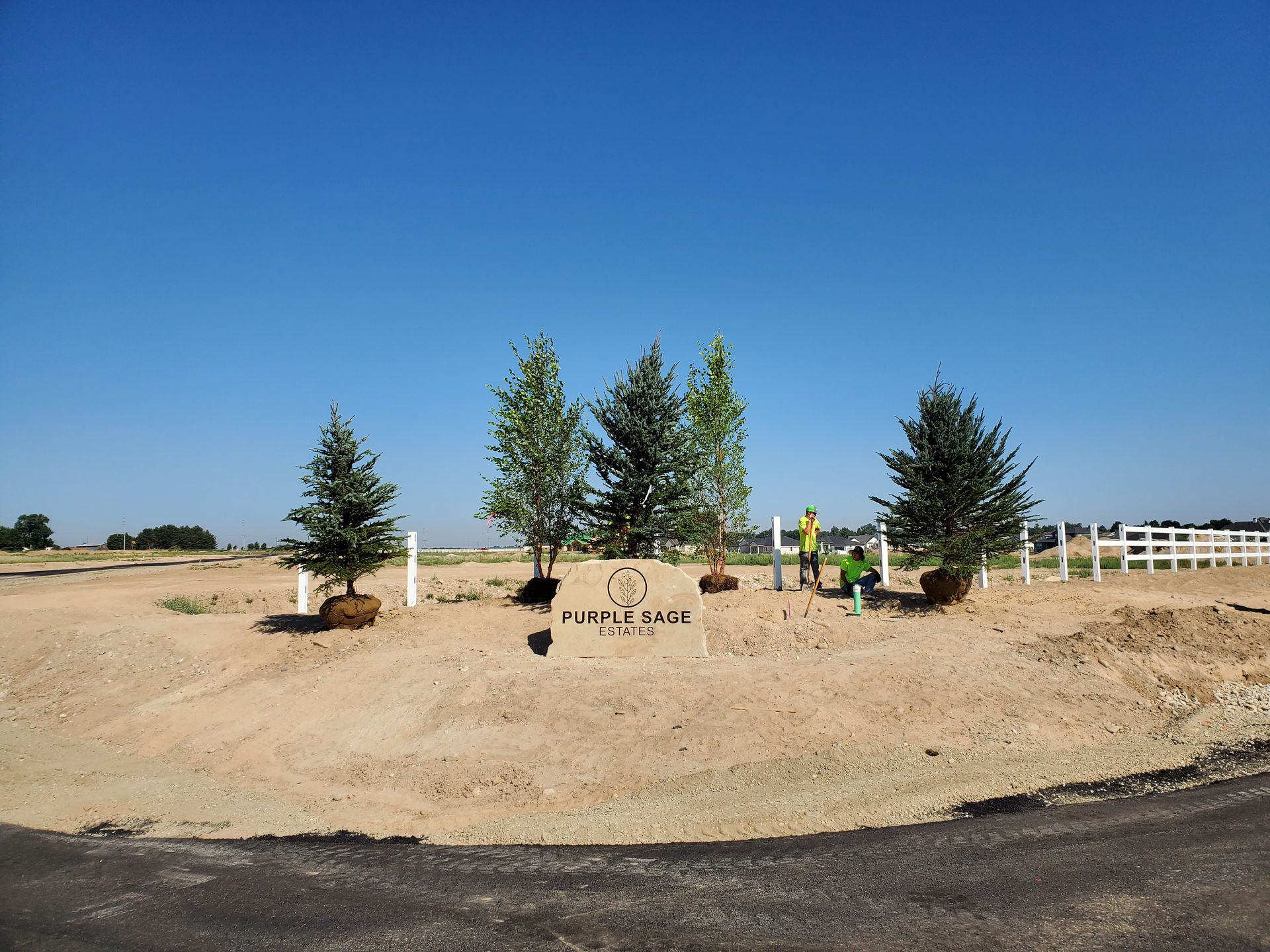 A group of trees are being planted in a dirt field