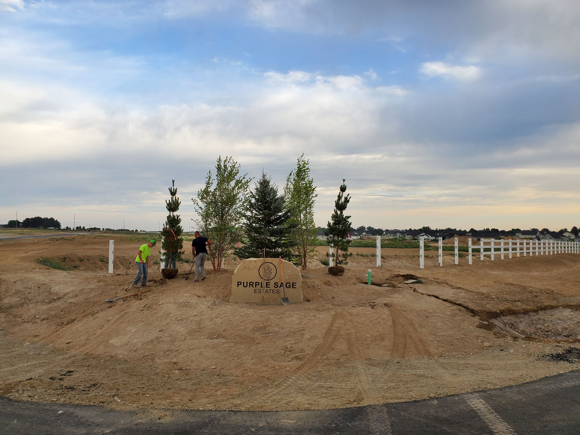 A group of people are planting trees in a dirt field