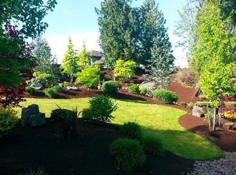 Lush green garden with manicured lawn, shrubs, trees, and dark mulch, under a bright blue sky.