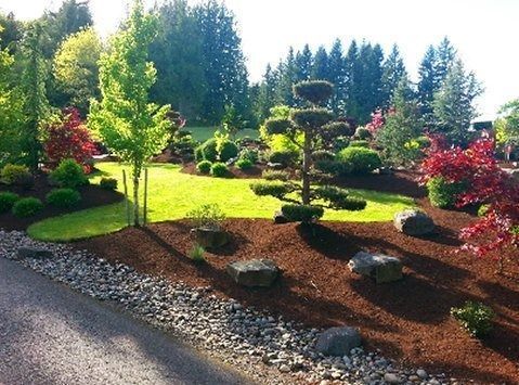 A landscaped garden with lush green grass, various plants, and brown mulch borders a paved area.