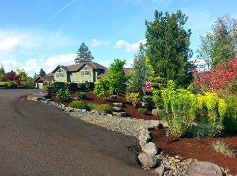 House with green siding and landscaped yard, dark asphalt driveway, sunny day.