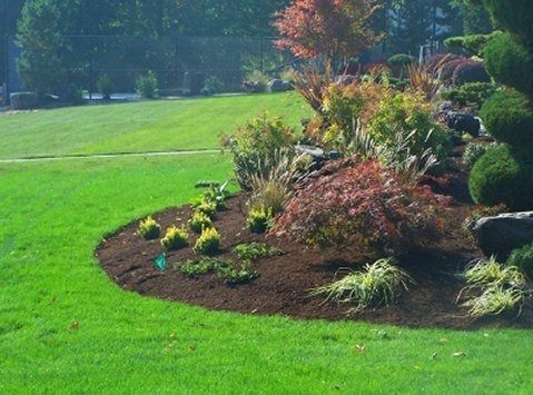 Lush green lawn borders a landscaped bed with colorful plants, shrubs, and mulch. Sunny day.