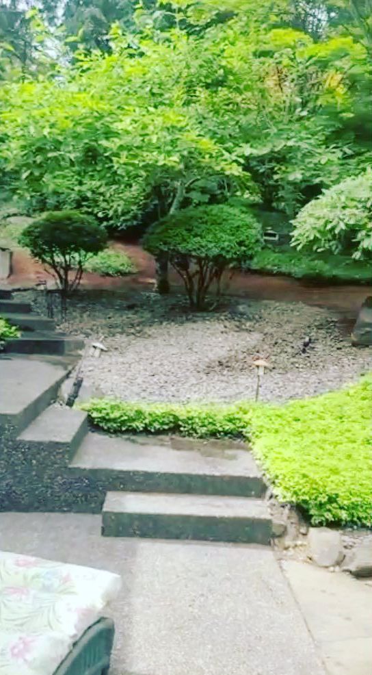 Stone steps lead up to a lush, green garden with small, round trees.