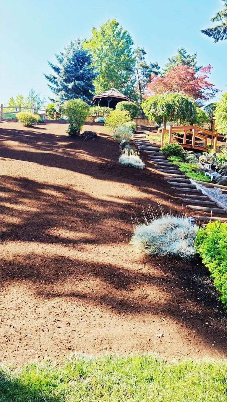 A landscaped hillside with a gazebo, wooden steps, and various trees under a blue sky.