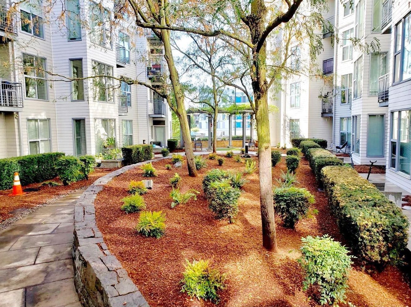 Courtyard with trees, bushes, and brown mulch in front of white apartment buildings.