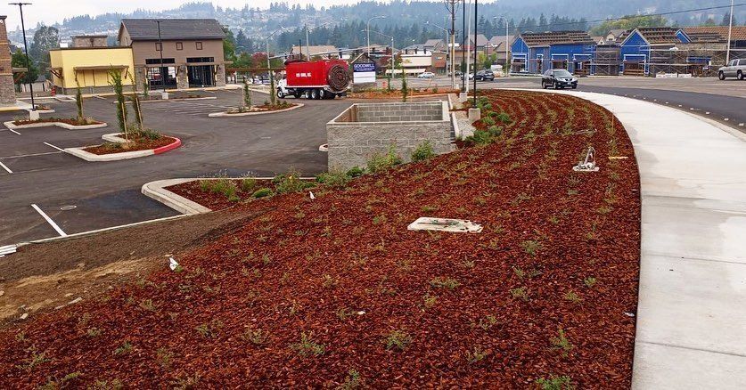 Landscape with red mulch, concrete curb, parking spaces, buildings, and a distant mountain.
