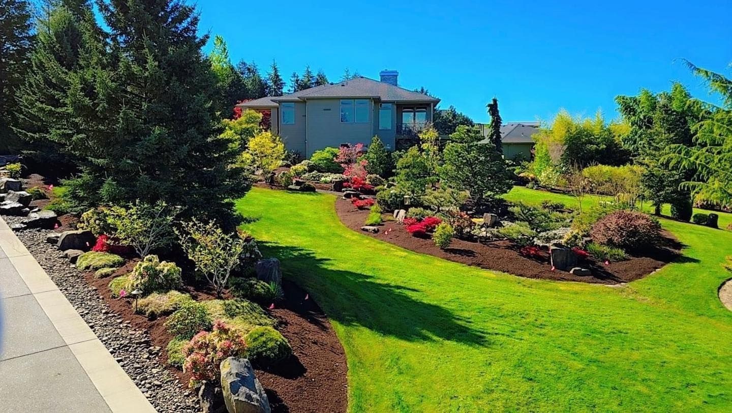 Lush green lawn with a landscaped garden in front of a modern house, under a clear blue sky.