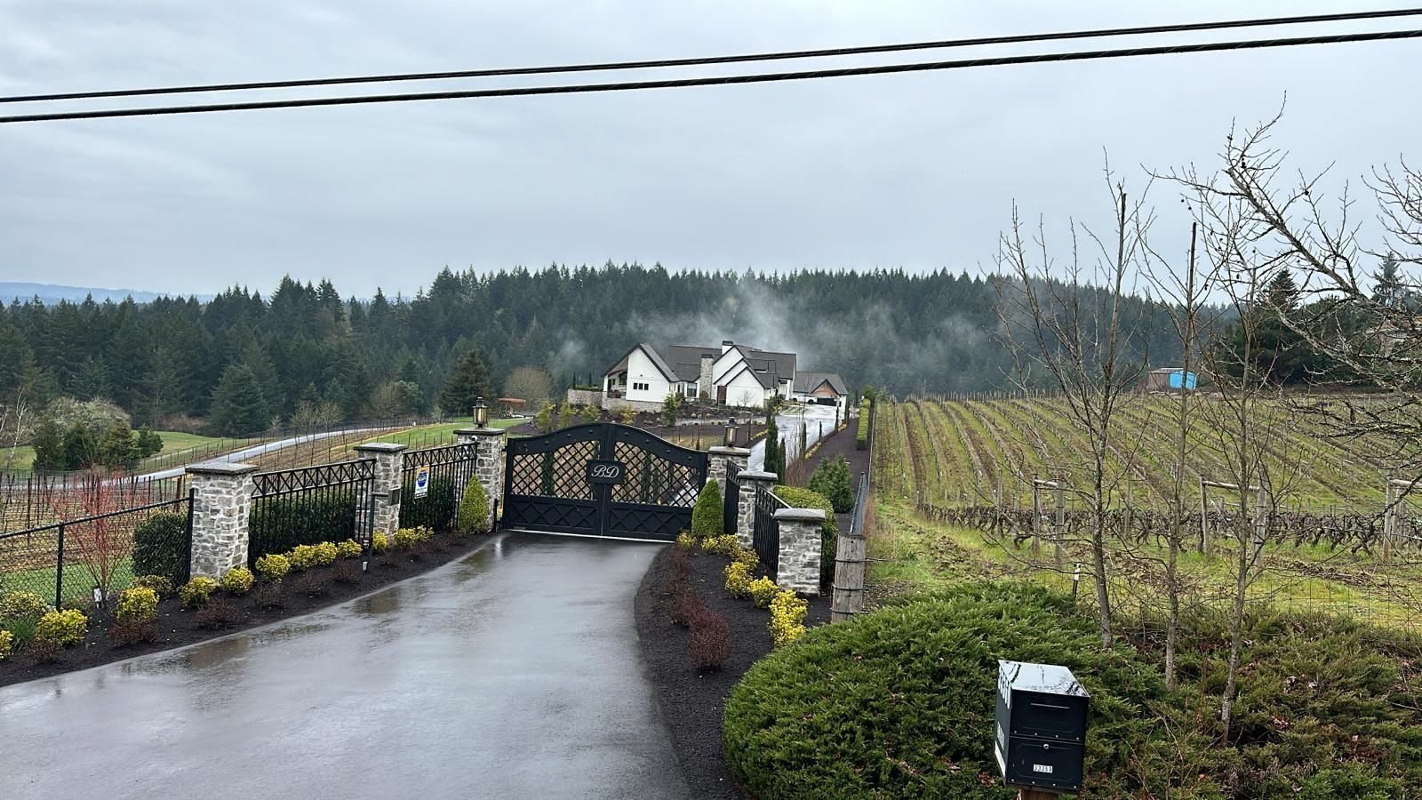 Gated driveway leading to a white building; vineyard and forest in the background on a cloudy day.