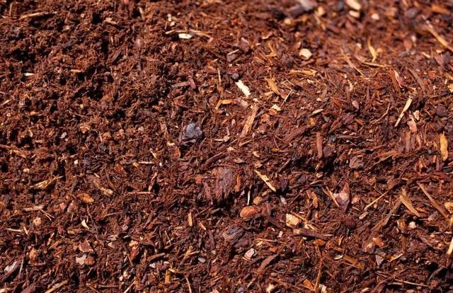 Close-up of brown mulch with various textures and wood pieces.