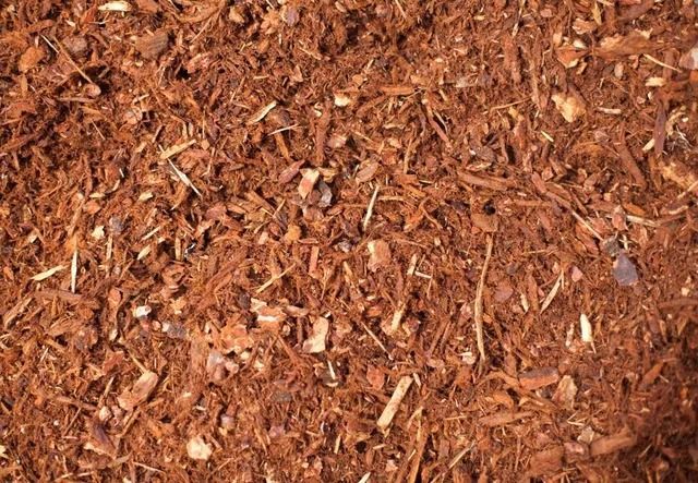 Red-brown mulch, consisting of shredded wood pieces, providing a textured ground cover.