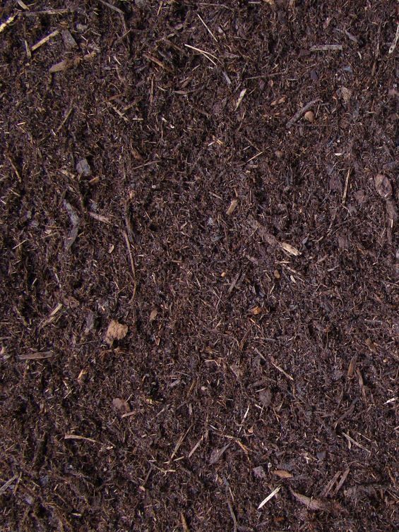 Dark brown soil, close-up texture, with visible organic matter.