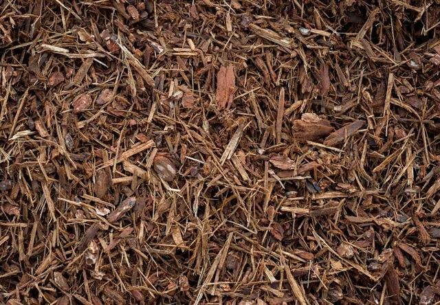 Brown wood mulch, shredded and textured, filling the frame.