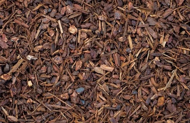 Close-up of brown mulch with various sized pieces.