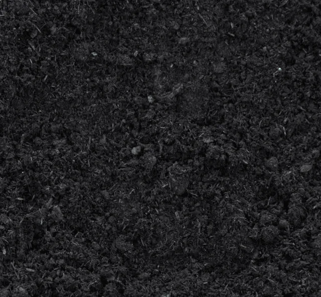 Dark, rich soil with a textured, crumbly surface.