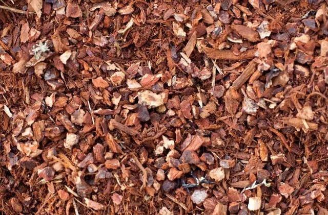 Brown mulch, composed of various sizes of bark pieces, covering the ground.
